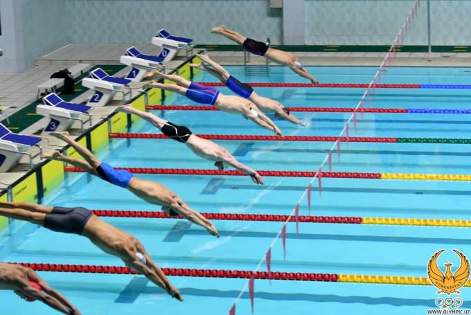 Swimming Pool "Delfin"